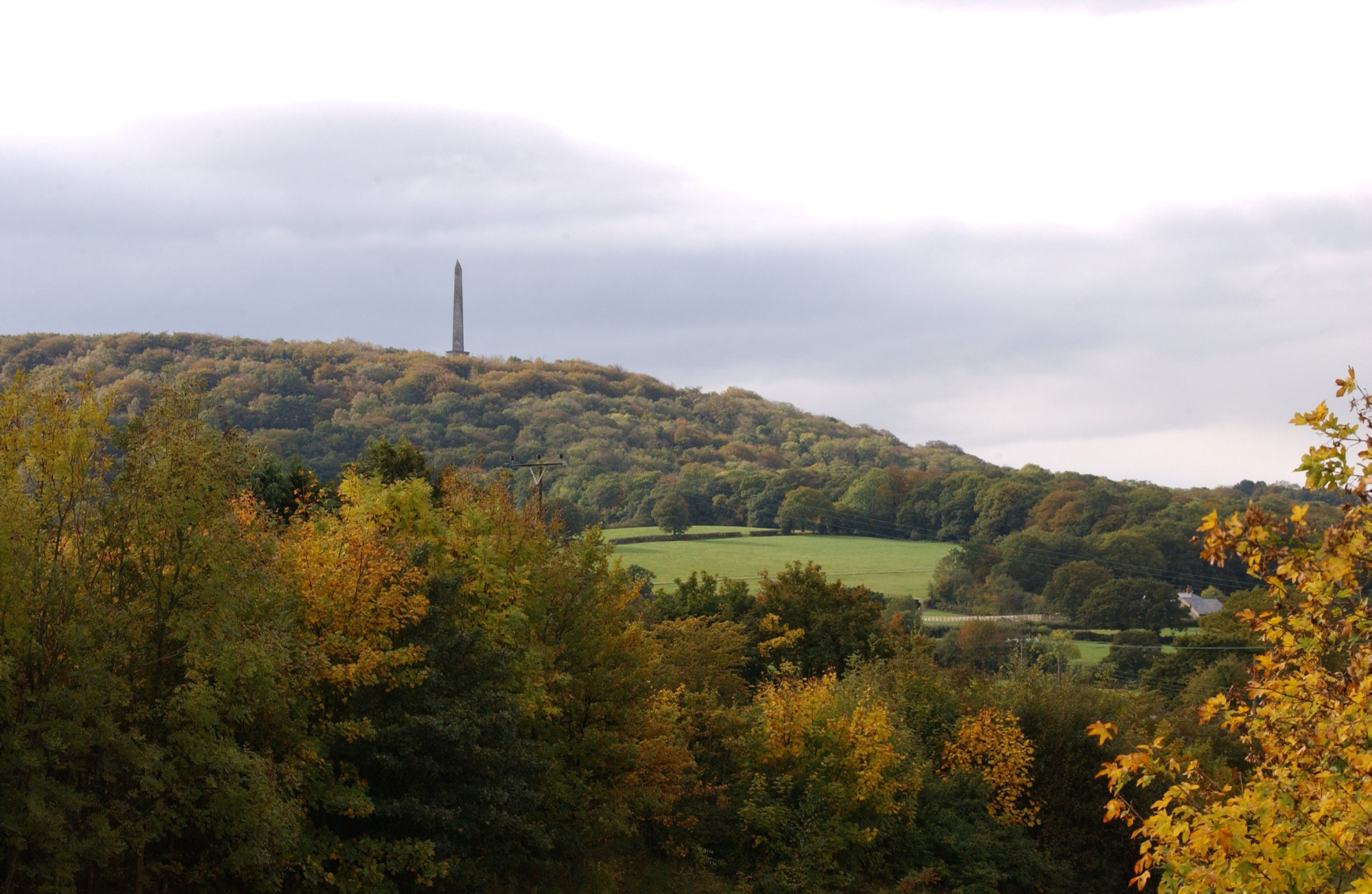 Blackdown Hills Forestry England